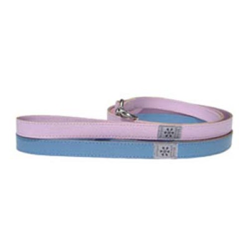 Dog Leads